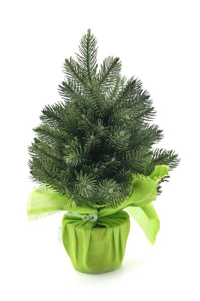 Artificial Christmas tree “Alaska mini in a pot”, 40 cm, Dark Green