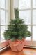 Artificial Christmas tree &ldquo;Alaska mini in a pot&rdquo;, molded plastic, dark green color, 0.4 m, 40 cm, Dark Green