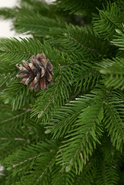 Artificial Christmas tree "Scottish" with cones, molded plastic, light green color, 2.1, Light Green, 120 sm