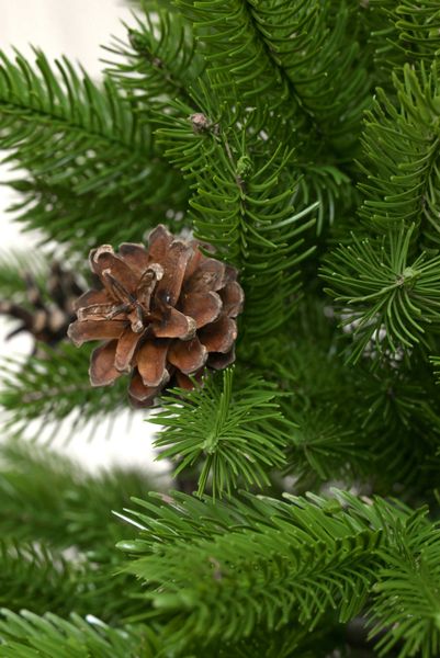 Artificial Christmas tree "Scottish" with cones, molded plastic, light green color, 2.1, Light Green, 120 sm