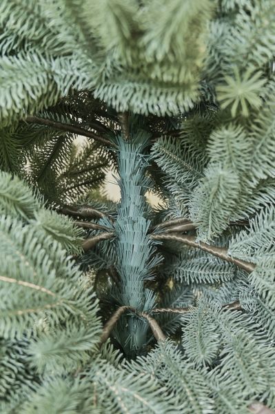 Artificial Christmas tree &ldquo;Alaska Premium&rdquo;, cast plastic, color blue, 2.3, Blue, 140 sm