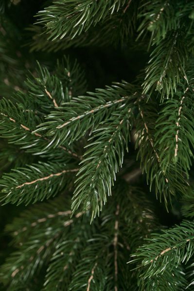 Sztuczna choinka &ldquo;Karpacka&rdquo;, formowane tworzywo sztuczne, PCV, kolor ciemnozielony, 2.1, Dark Green, 120 sm