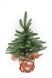 Artificial Christmas tree &ldquo;Mountain Mini&rdquo;, cast plastic, dark green, in a pot, 0.4 m, 40 cm, Dark Green